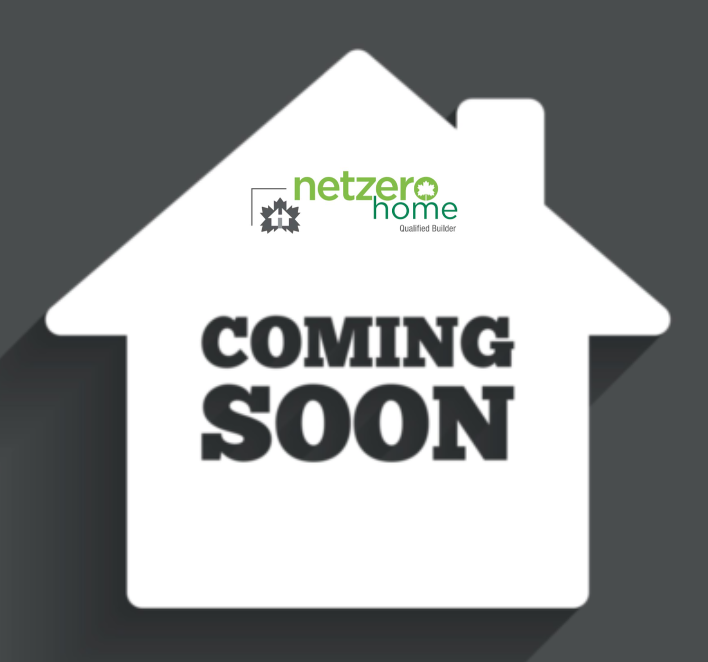 Placeholder for Net Zero project coming soon.